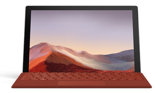 石门清洁和维护 Surface
